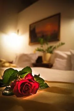Ventus Rosa Apartments Krakow 4*,